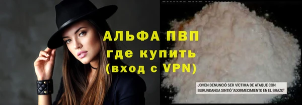 гашик Алексин