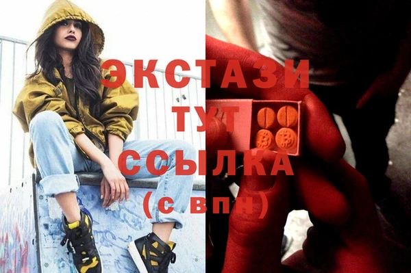гашик Алексин