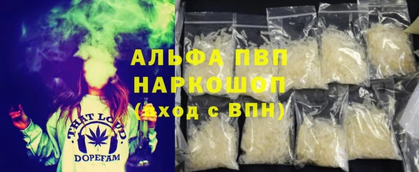 гашик Алексин